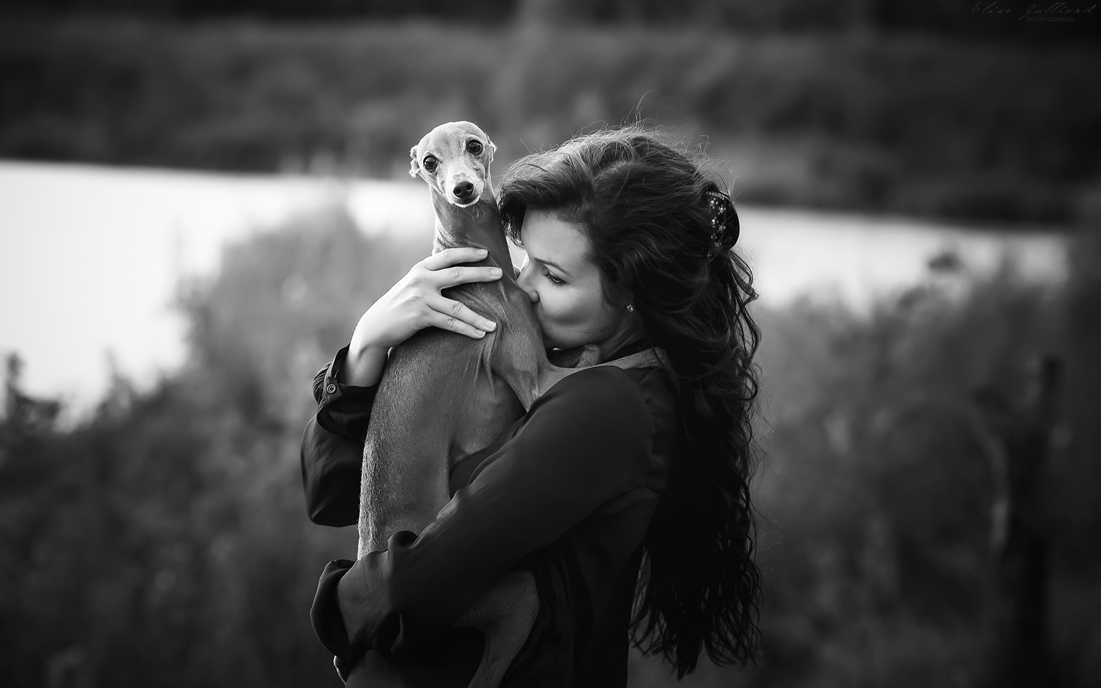 seance photo chien