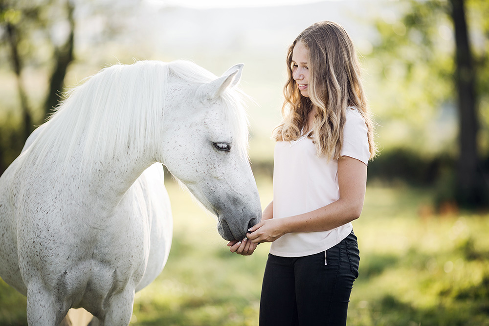 seance photo cheval et cavalier