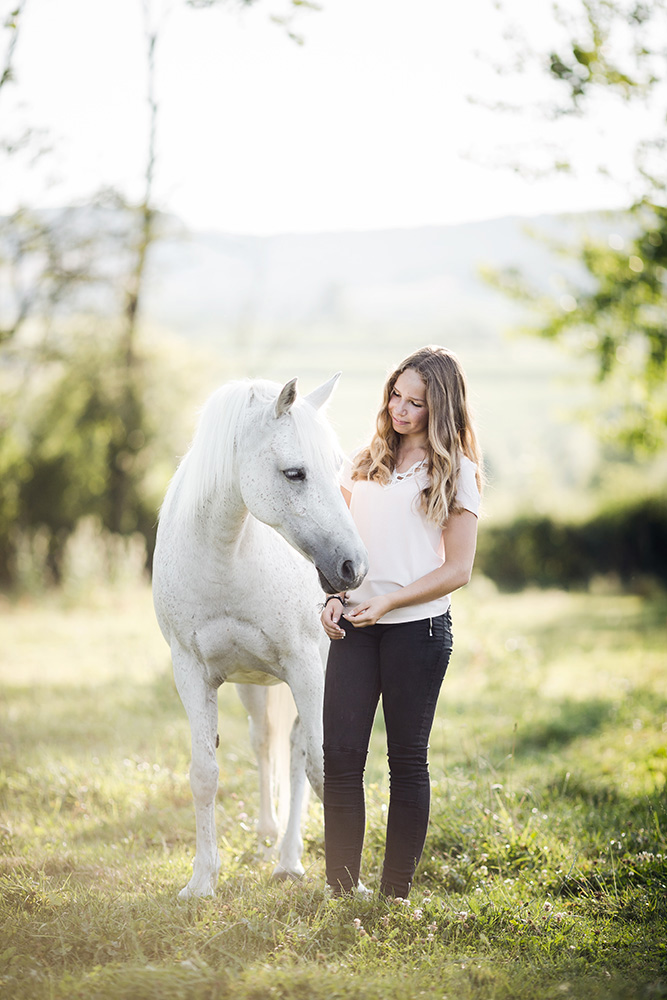 seance photo cheval et cavalier
