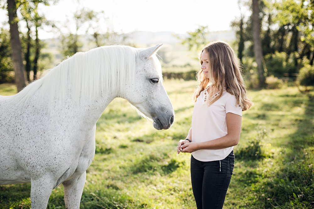 seance photo cheval et cavalier