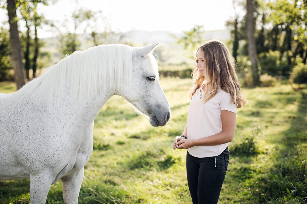 seance photo cheval et cavalier