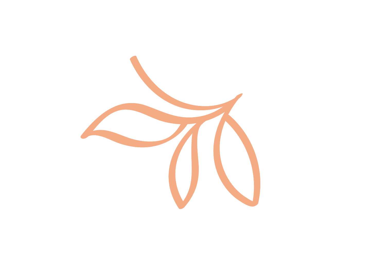 feuille